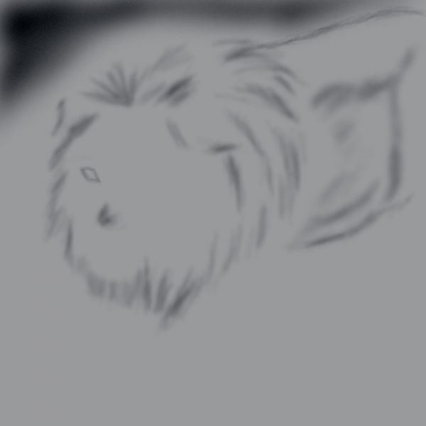 Creation of Run.....Its a lion......: Step 5